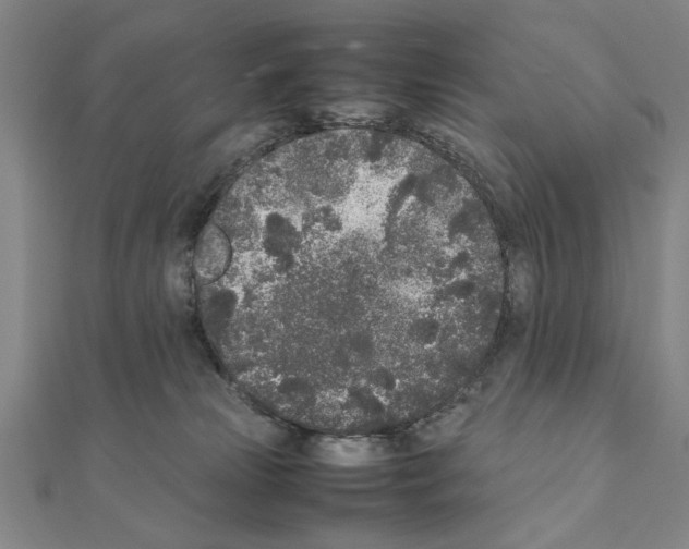 X0000111190181200908121055