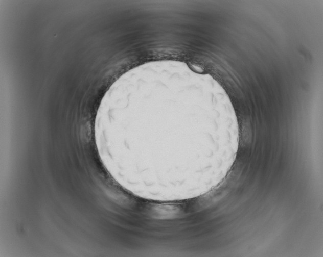 X0000111190183200908121055