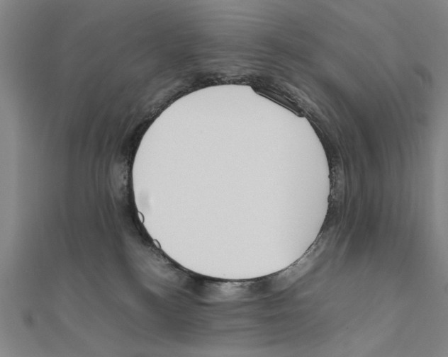 X0000111190184200908121055