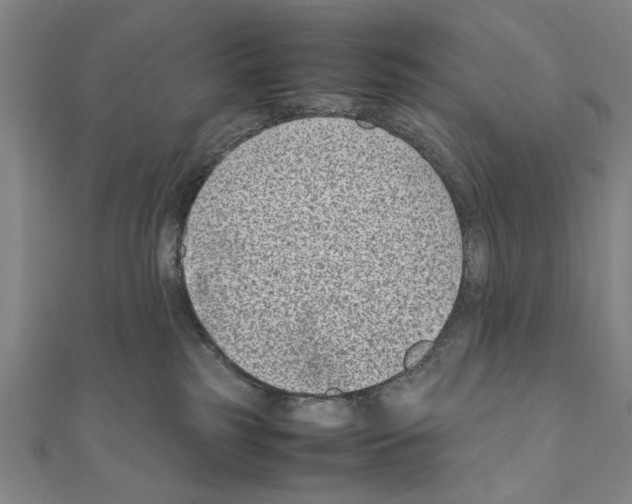 X0000111190185200908121055
