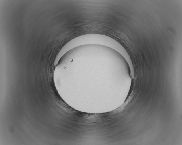 X0000111190186200908121055