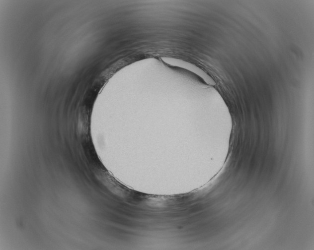 X0000111190190200908121056