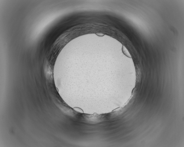 X0000111190191200908121056