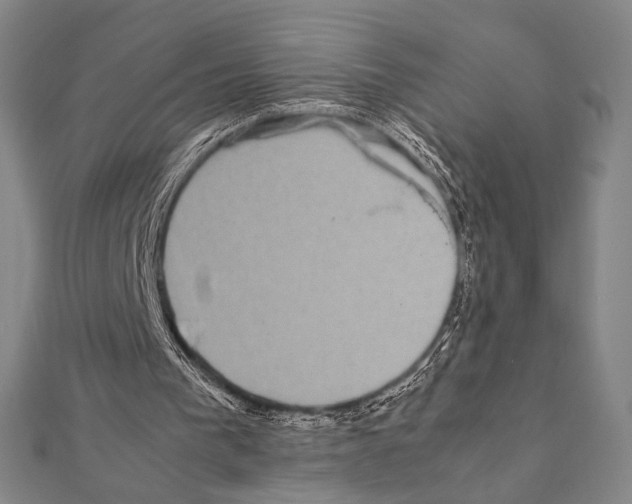 X0000111190193200908121055