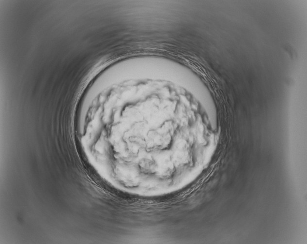 X0000111190195200908121055