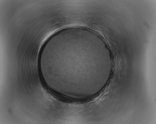 X0000111190196200908121055