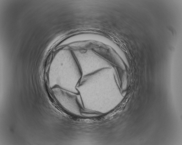 X0000111190197200908121055