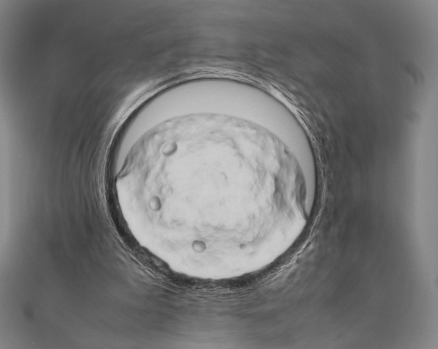 X0000111190199200908121055
