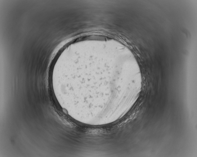 X0000111190200200908121055