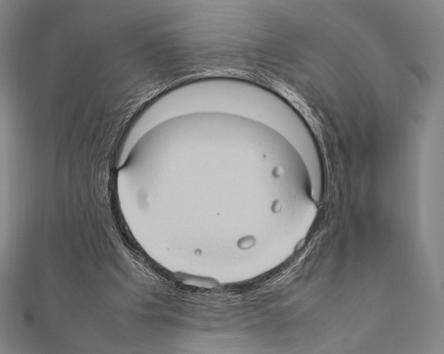 X0000111190201200908121055