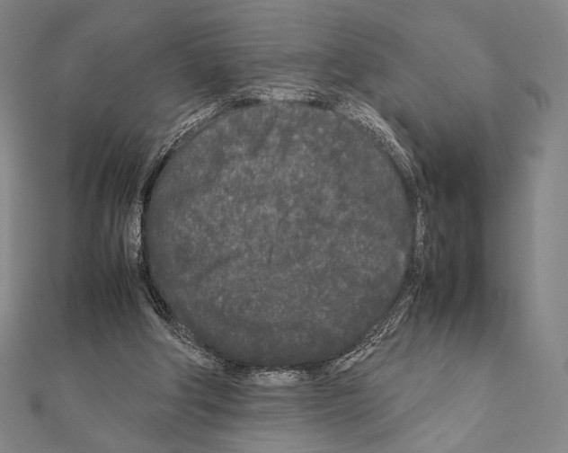 X0000111190202200908121055