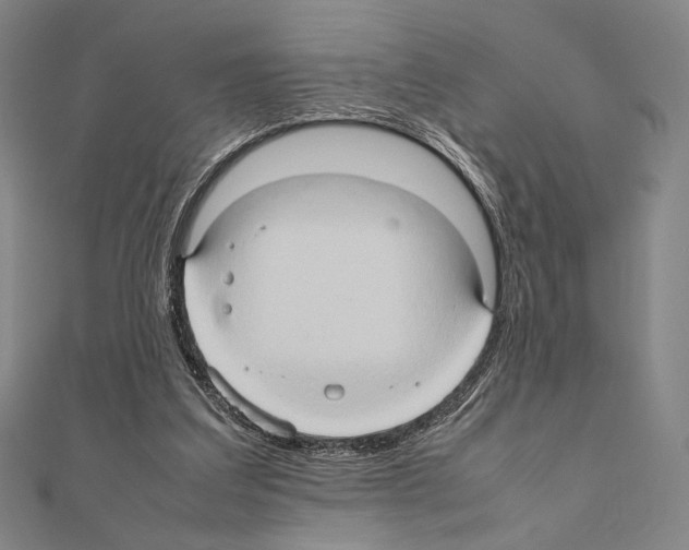 X0000111190203200908121055