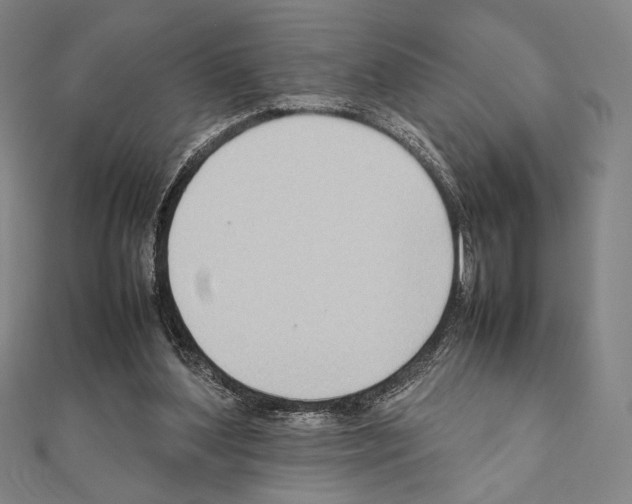 X0000111190204200908121055