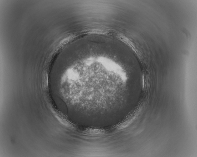X0000111190205200908121055