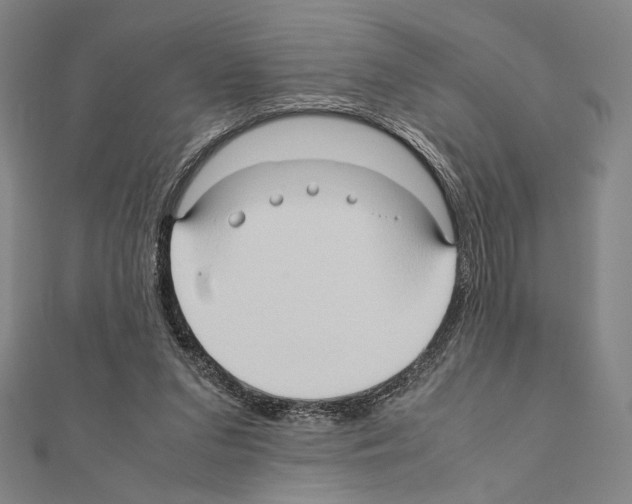 X0000111190207200908121055