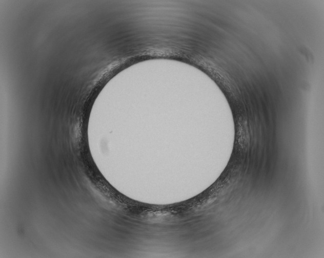 X0000111190208200908121055