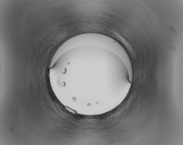X0000111190209200908121055