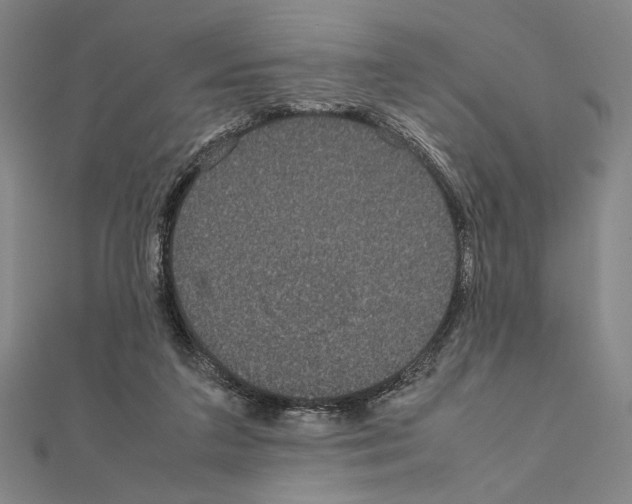 X0000111190211200908121055