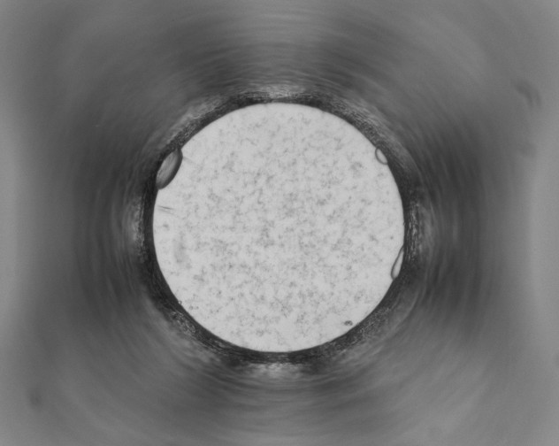 X0000111190212200908121055