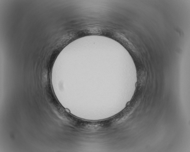 X0000111190213200908121055