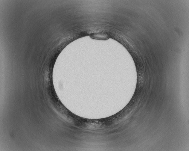 X0000111190215200908121055
