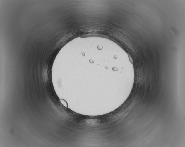 X0000111190216200908121055