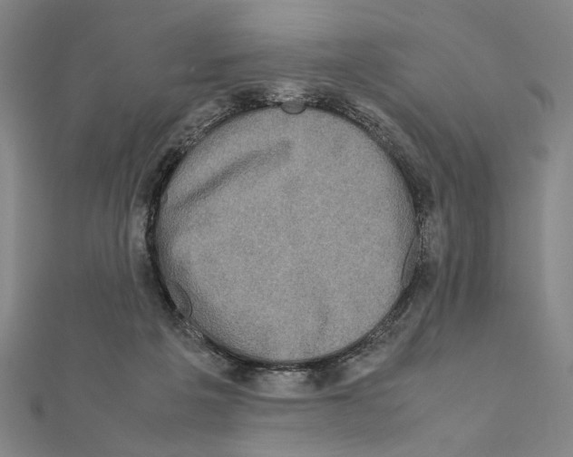 X0000111190217200908121055