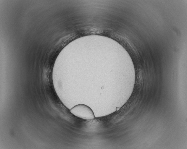 X0000111190218200908121055