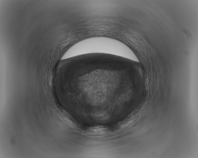 X0000111190219200908121055