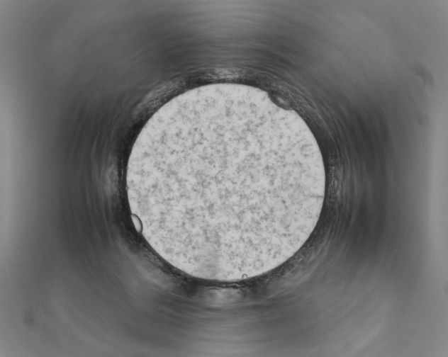 X0000111190220200908121055
