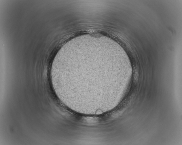 X0000111190221200908121055