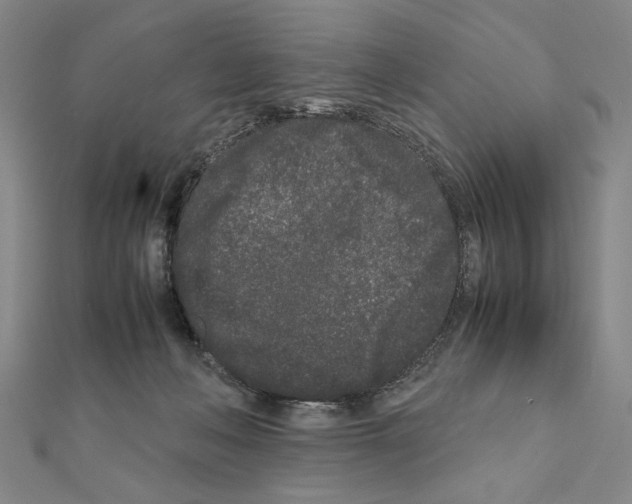 X0000111190222200908121055