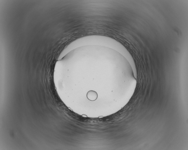 X0000111190223200908121055