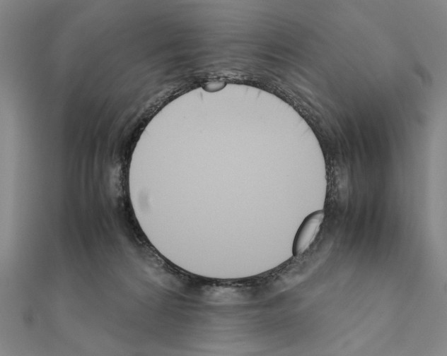 X0000111190224200908121055