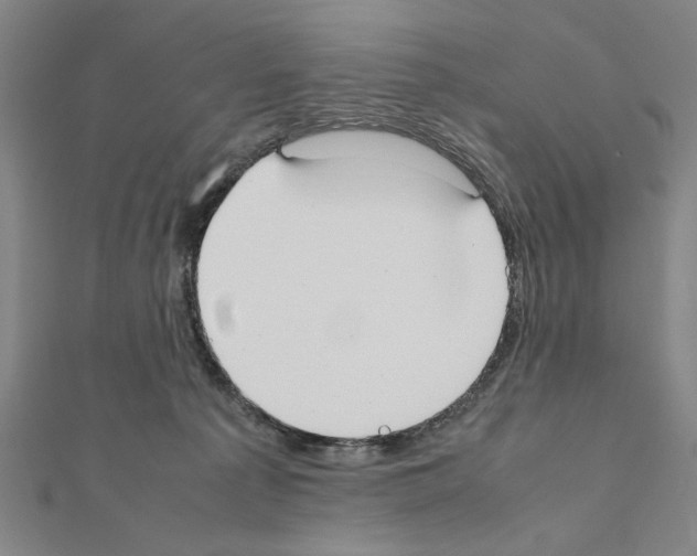 X0000111190225200908121055