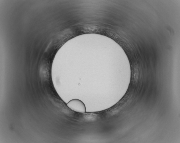 X0000111190226200908121054