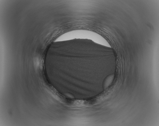 X0000111190227200908121054