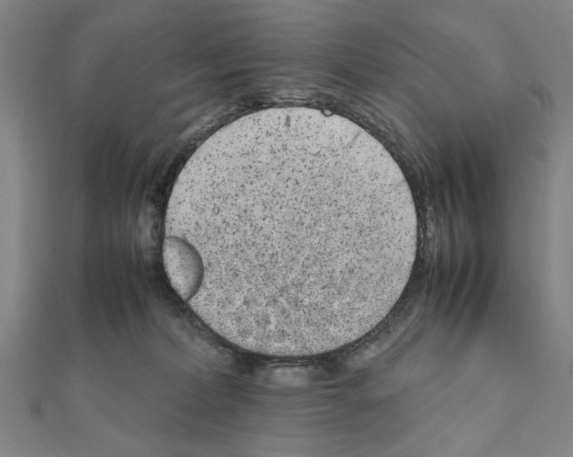X0000111190228200908121054