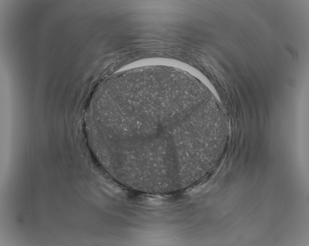 X0000111190229200908121054