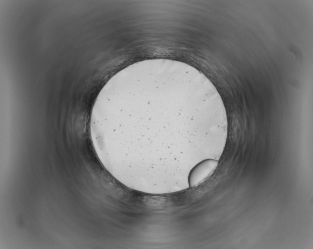 X0000111190230200908121054