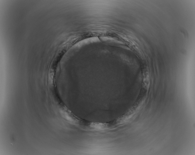 X0000111190231200908121054