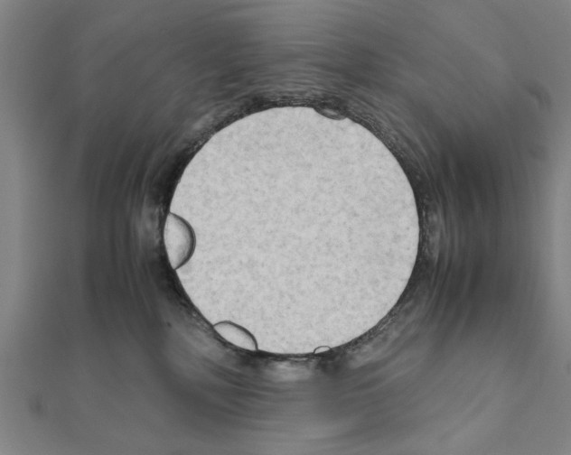 X0000111190232200908121054