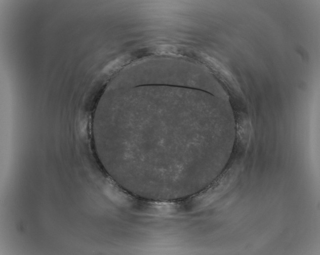 X0000111190233200908121054