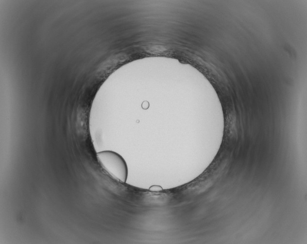 X0000111190234200908121054