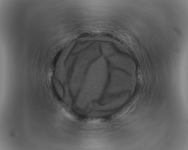 X0000111190235200908121054