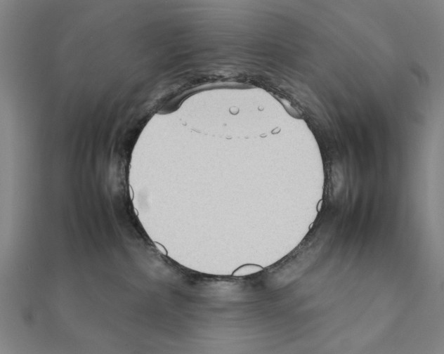 X0000111190236200908121054