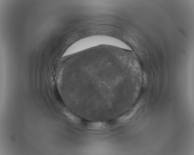 X0000111190237200908121054