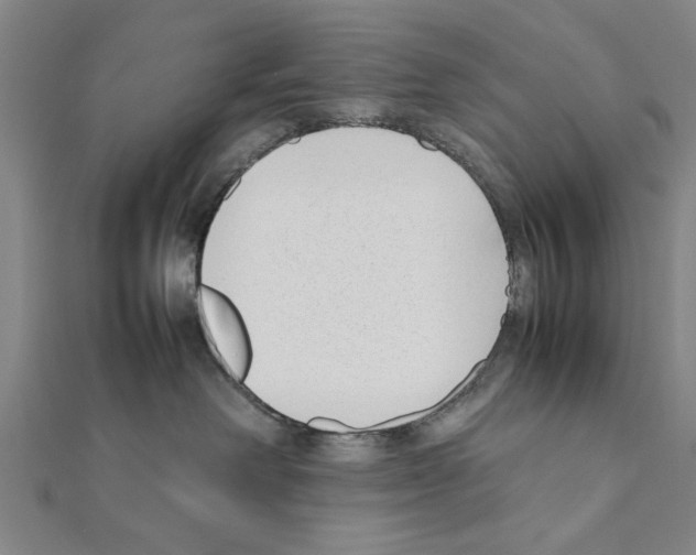 X0000111190238200908121054