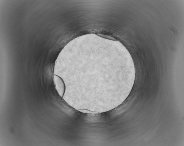 X0000111190240200908121054