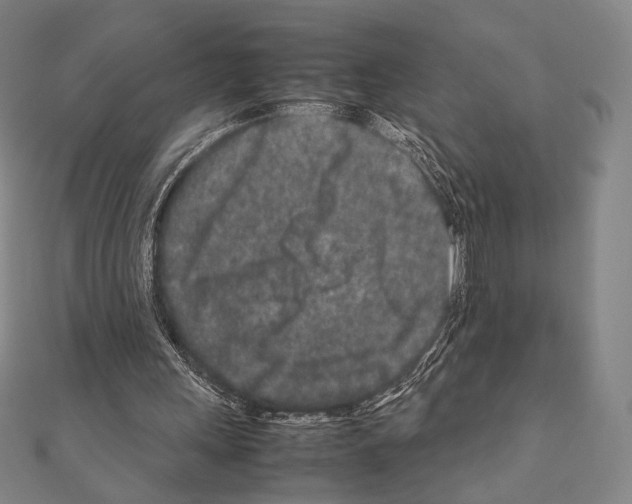 X0000111190243200908121054